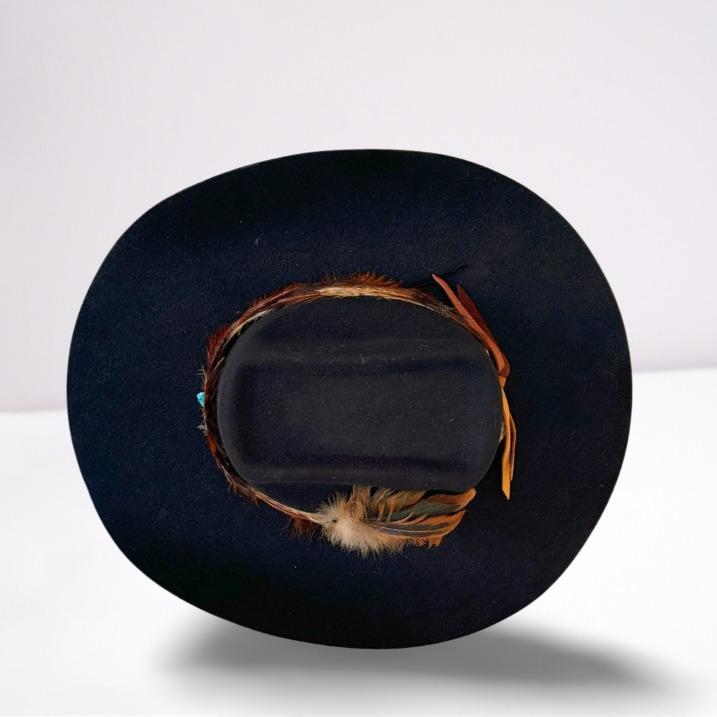 Double Feather Band Cowboy Hat