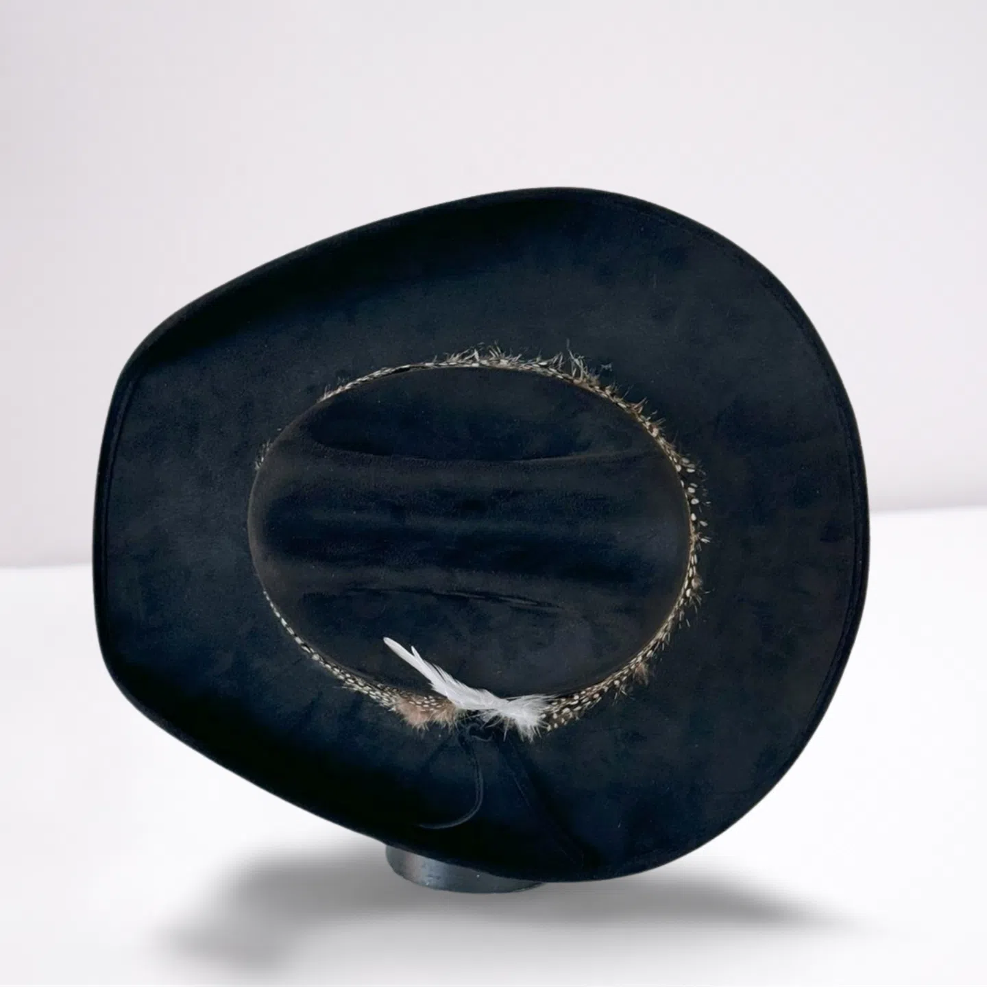 Guinea Feather Band Cowboy Hat