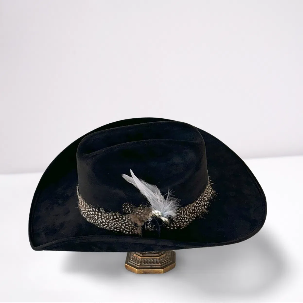 Guinea Feather Band Cowboy Hat