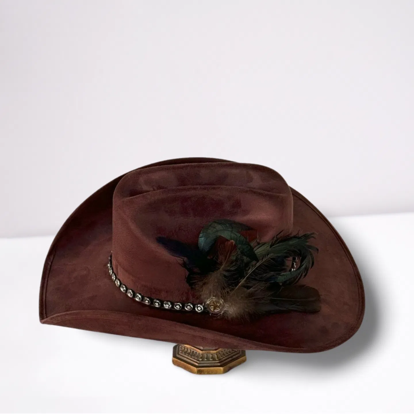 Black Feather Silver Studded Band Cowboy Hat