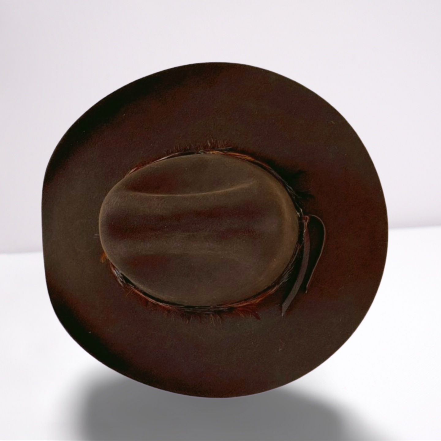 Feather Band Wool Brown Cowboy Hat