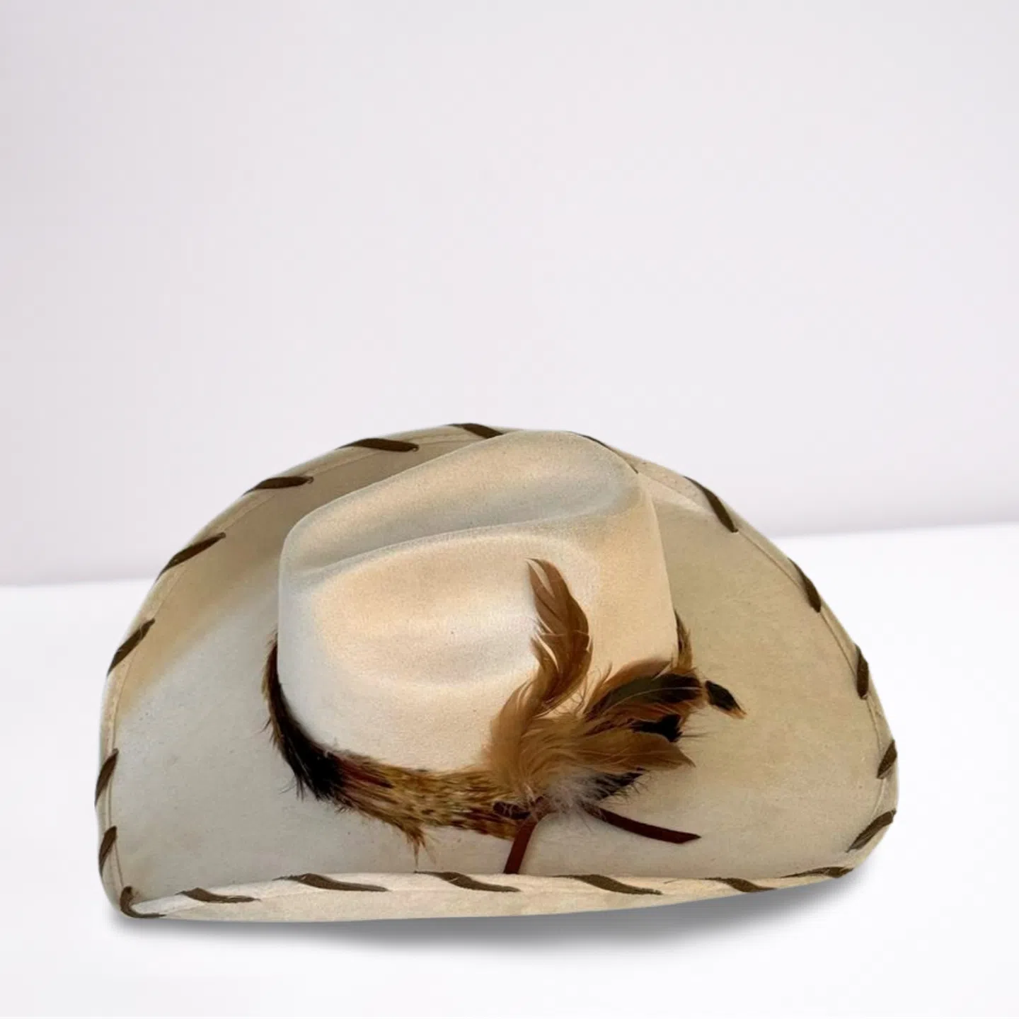 Brown Feather Band Cowboy Hat