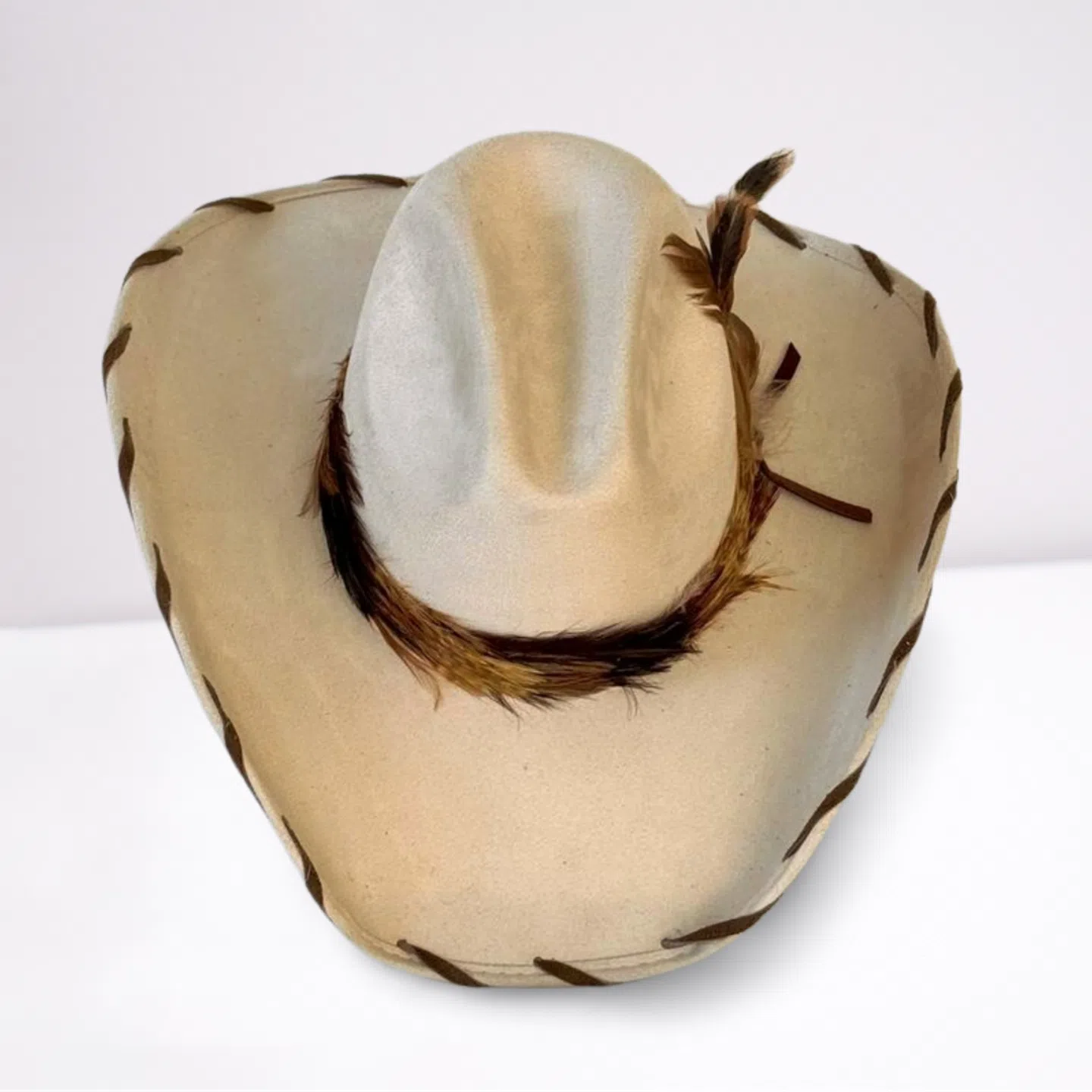 Brown Feather Band Cowboy Hat