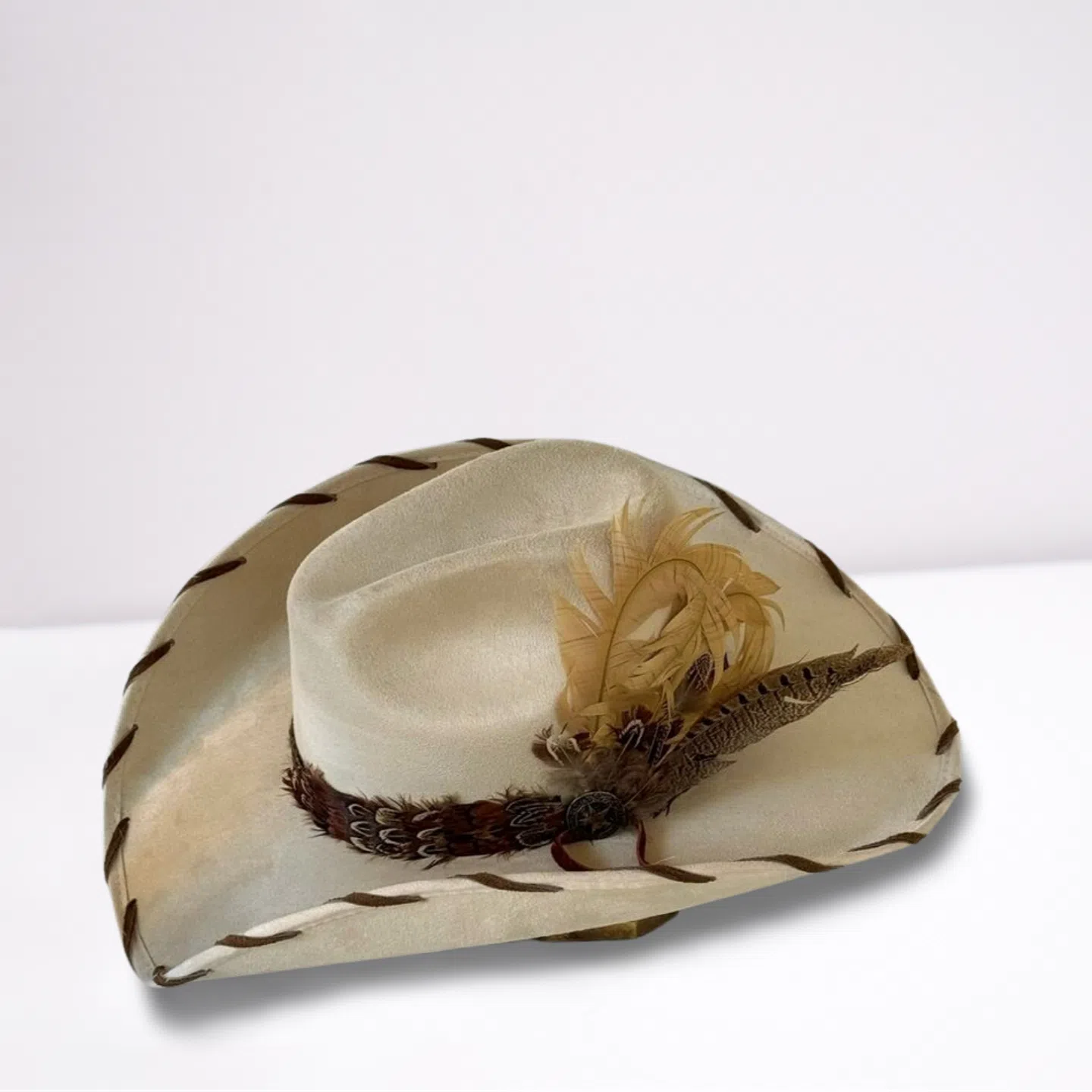 Brown Pheasant Feather Band Cowboy Hat