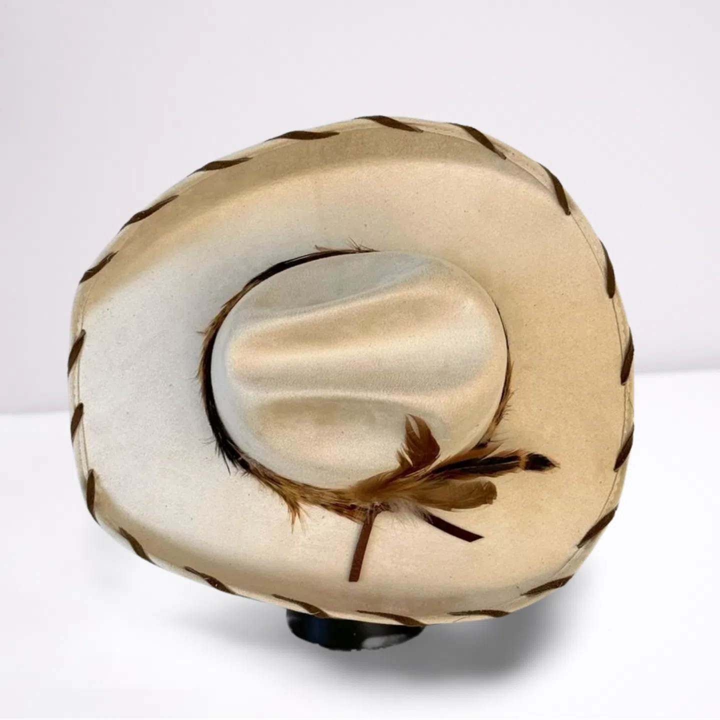 Brown Feather Band Cowboy Hat