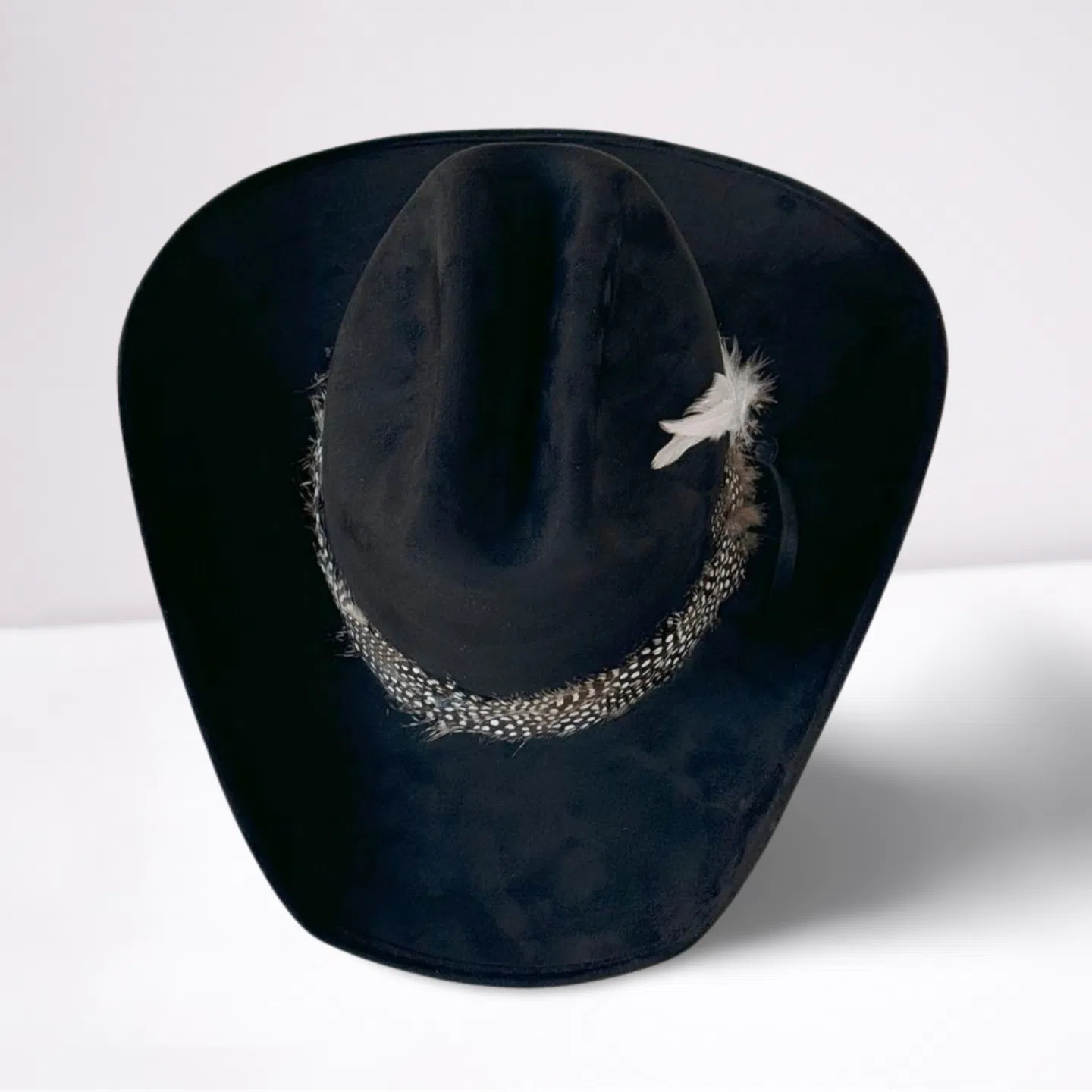 Guinea Feather Band Cowboy Hat