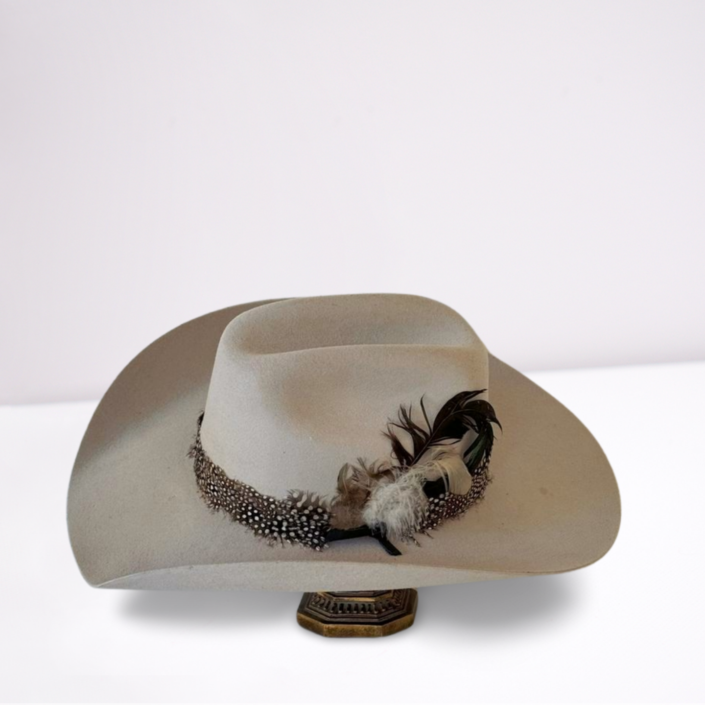 Guinea Feather Band Cowboy Hat