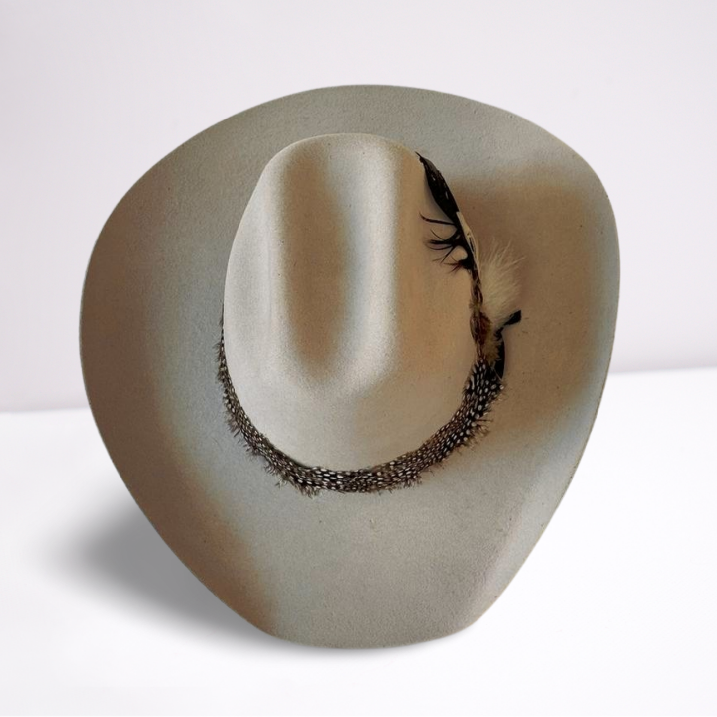 Guinea Feather Band Cowboy Hat