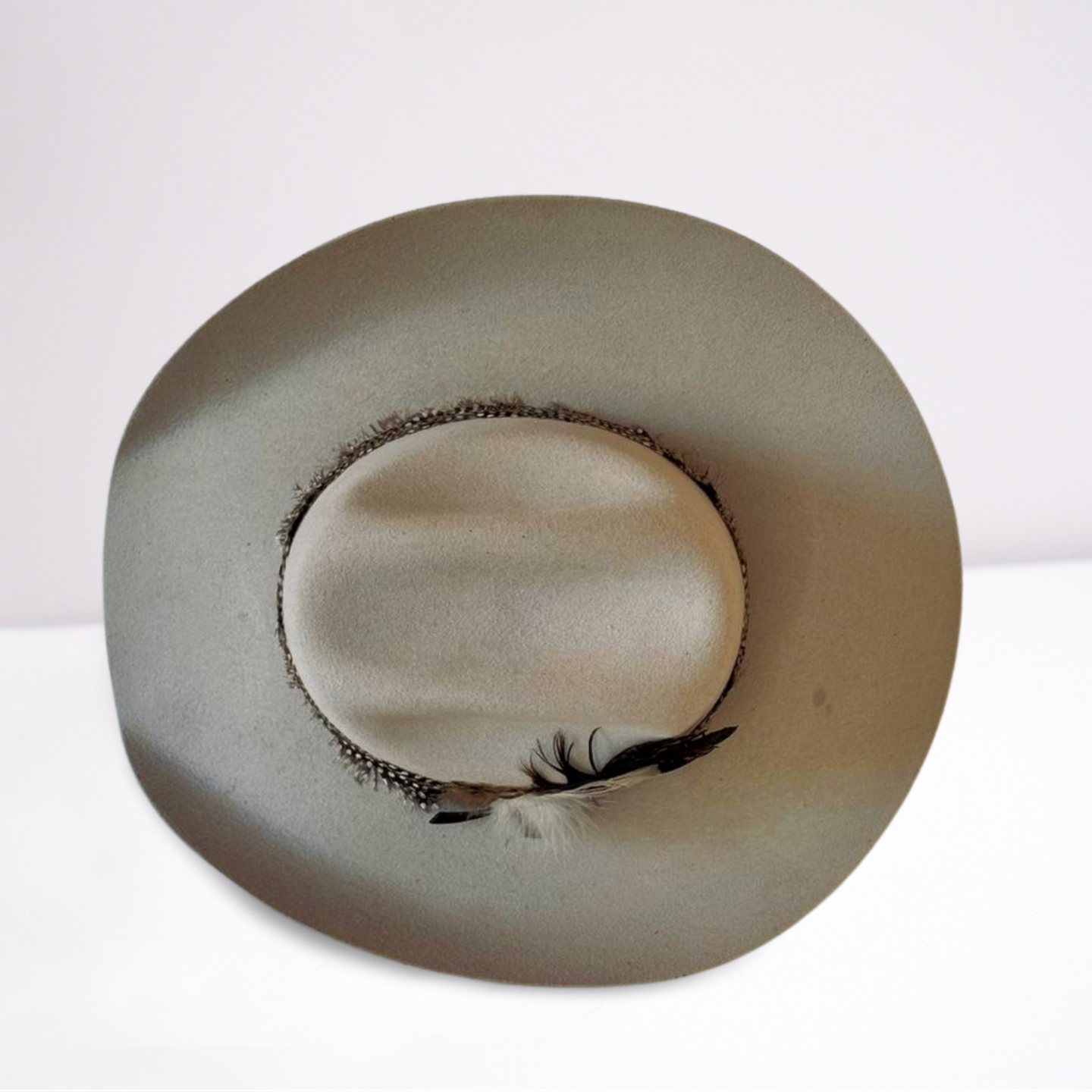 Guinea Feather Band Cowboy Hat-Animo Hat Company