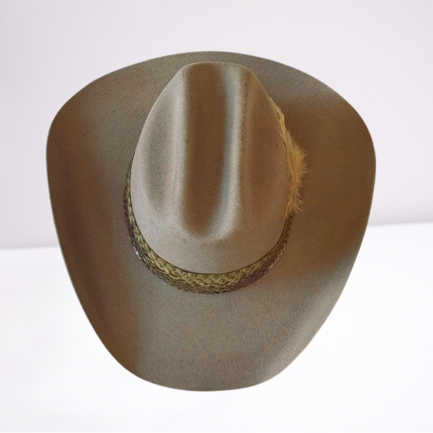 Exotic Python Crystal Band Cowboy Hat