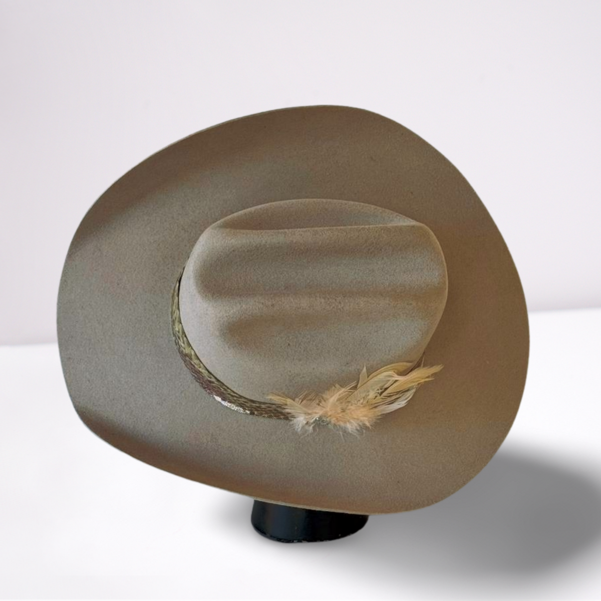 Houston Python Hat Exotic Python Crystal Band Cowboy Hat – Animo Hat & Apparel