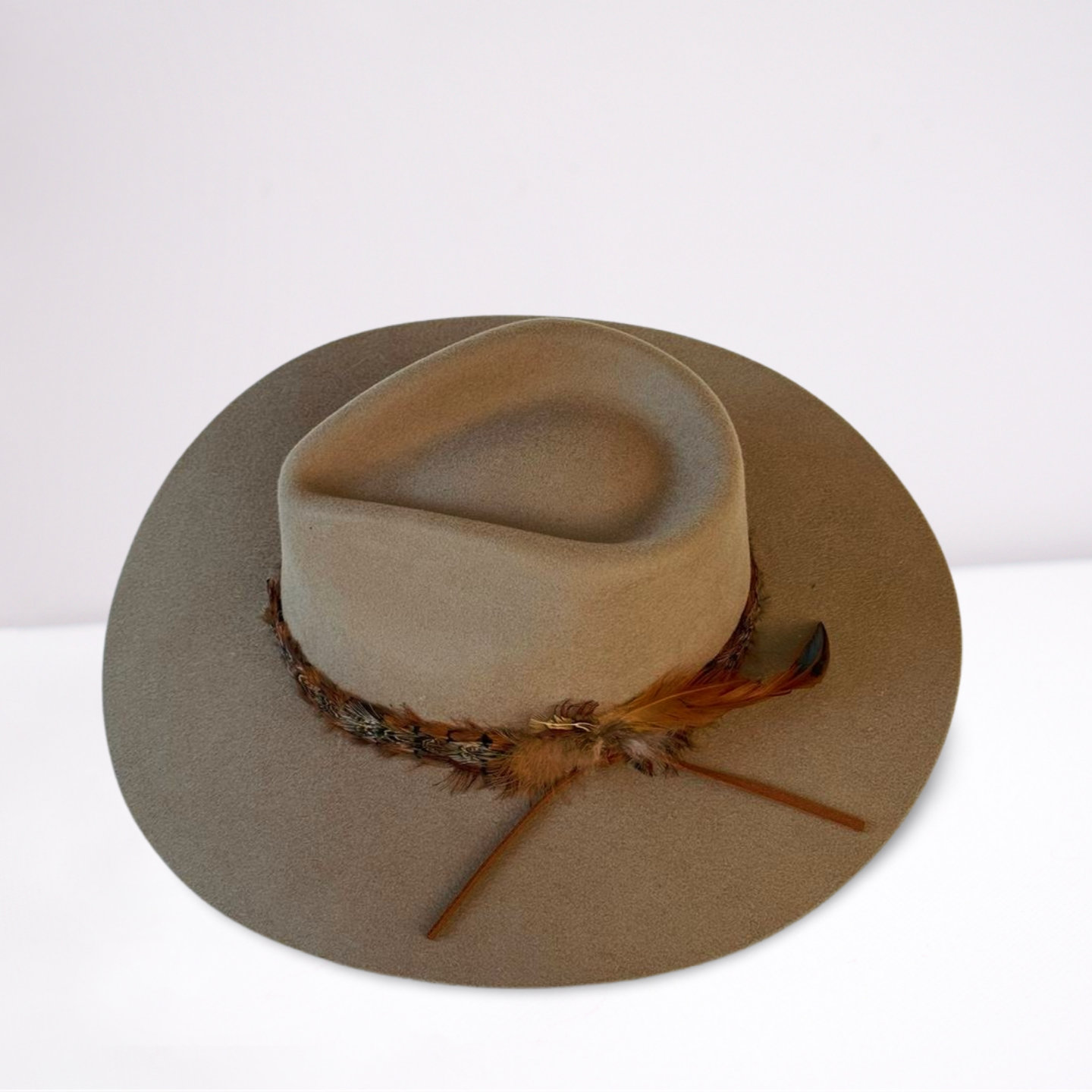 Twister Feather Band Mushroom Rancher Hat