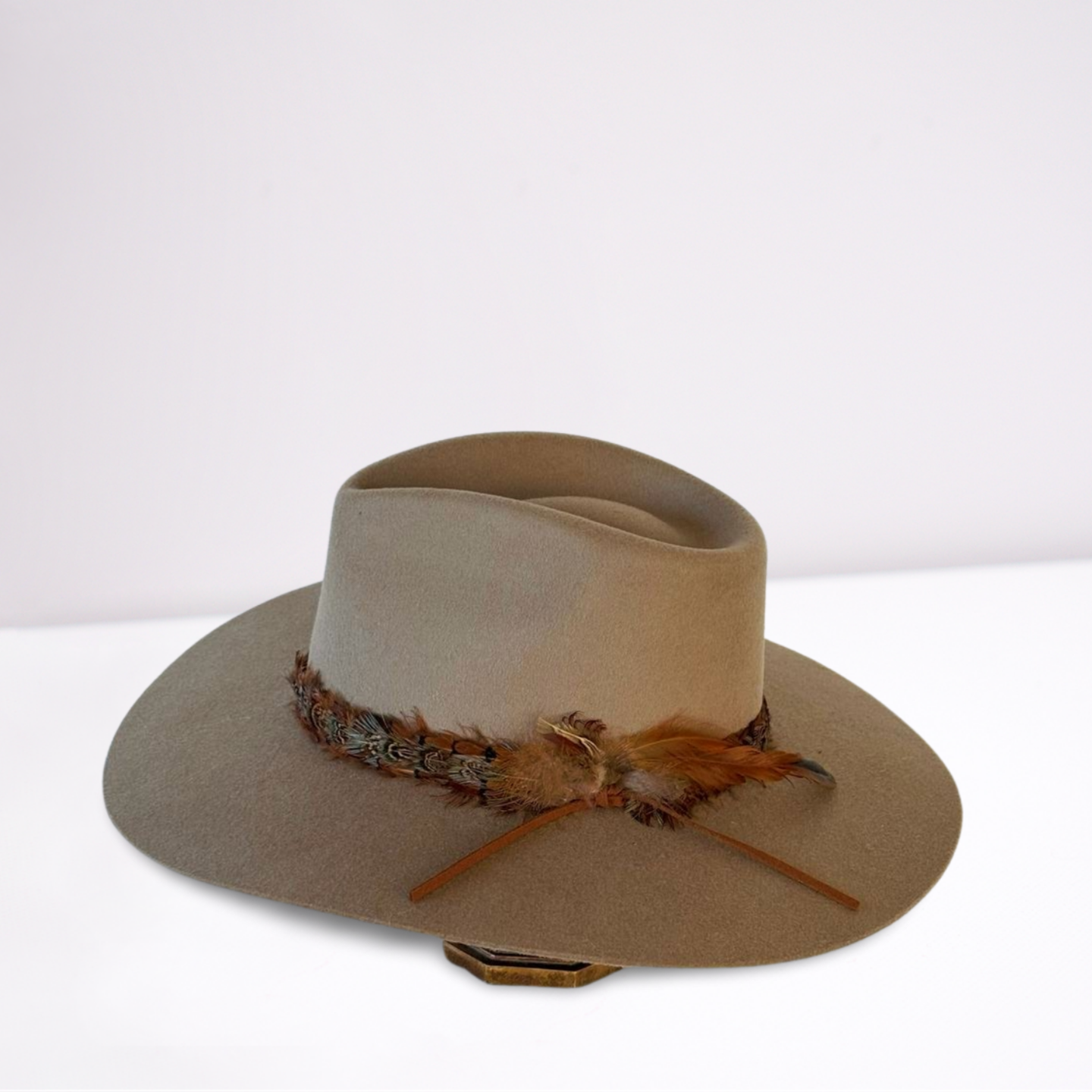 Twister Feather Band Mushroom Rancher Hat