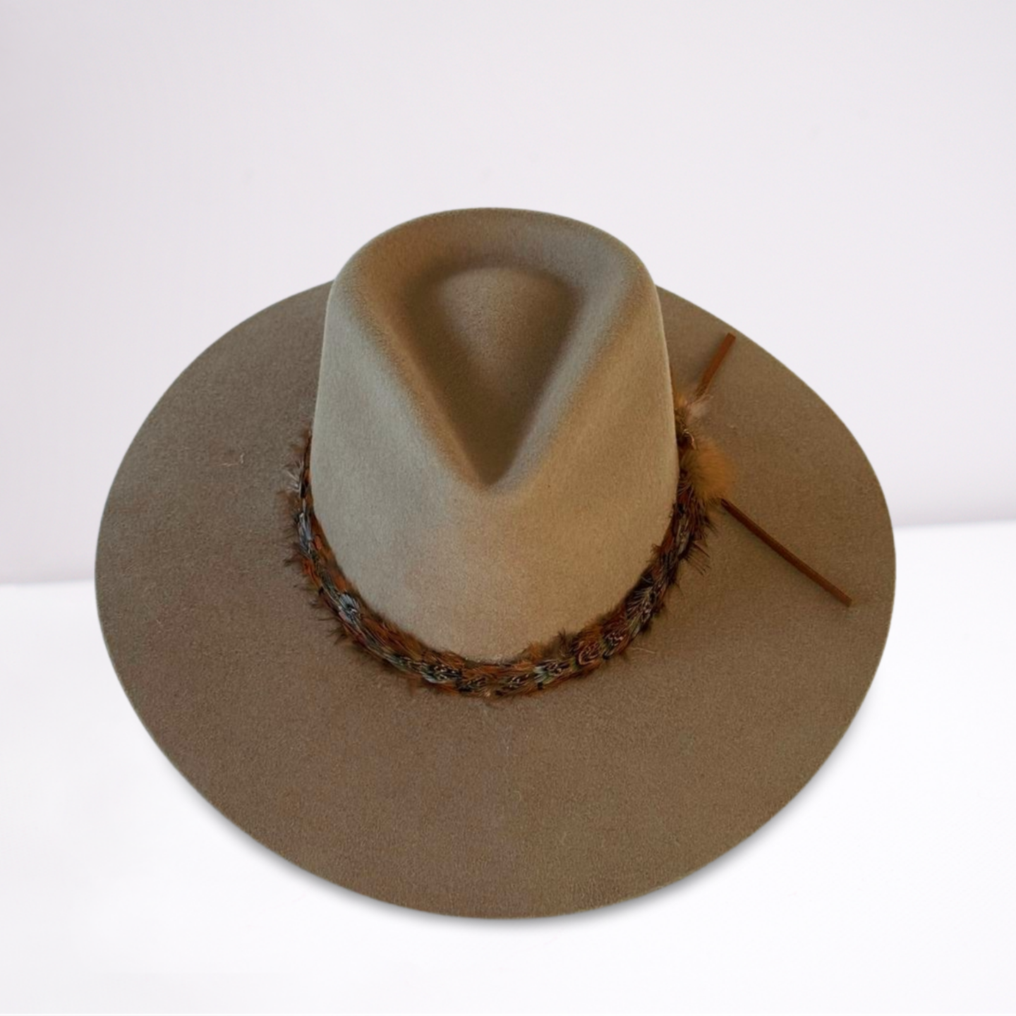 Twister Feather Band Mushroom Rancher Hat