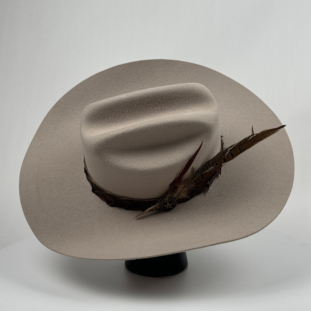 Exotic Croc Star Band Cowboy Hat – Animo Hat & Apparel