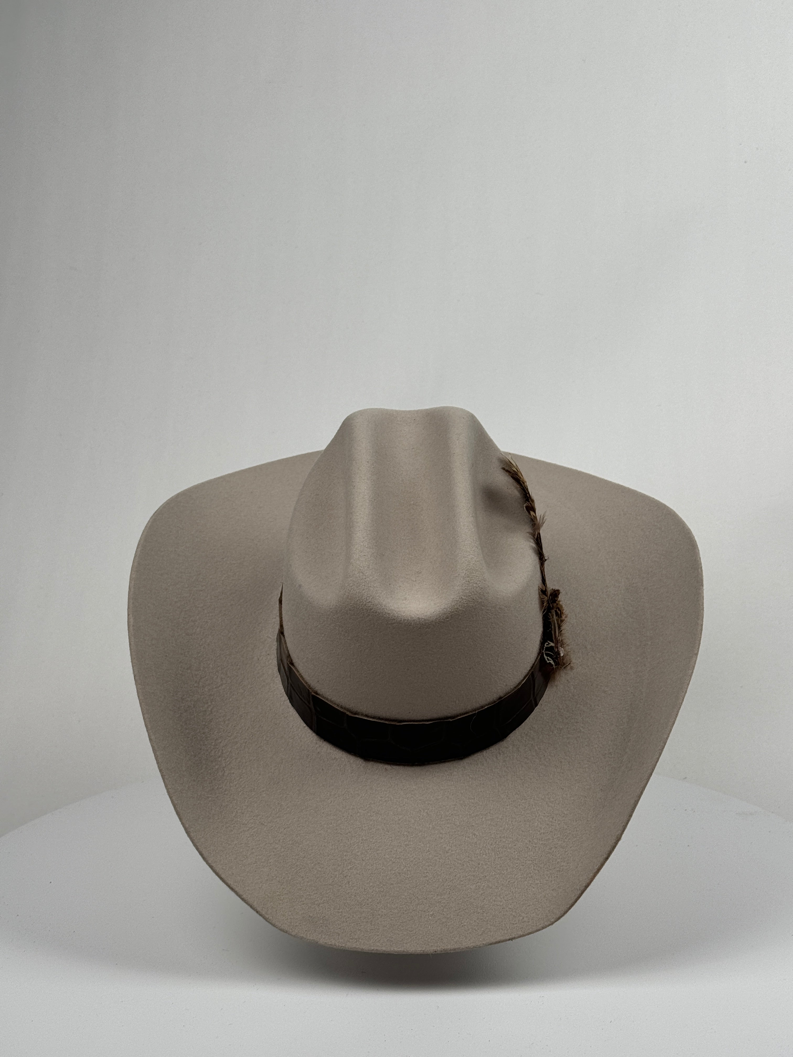 Exotic Croc Shell Band Cowboy Hat