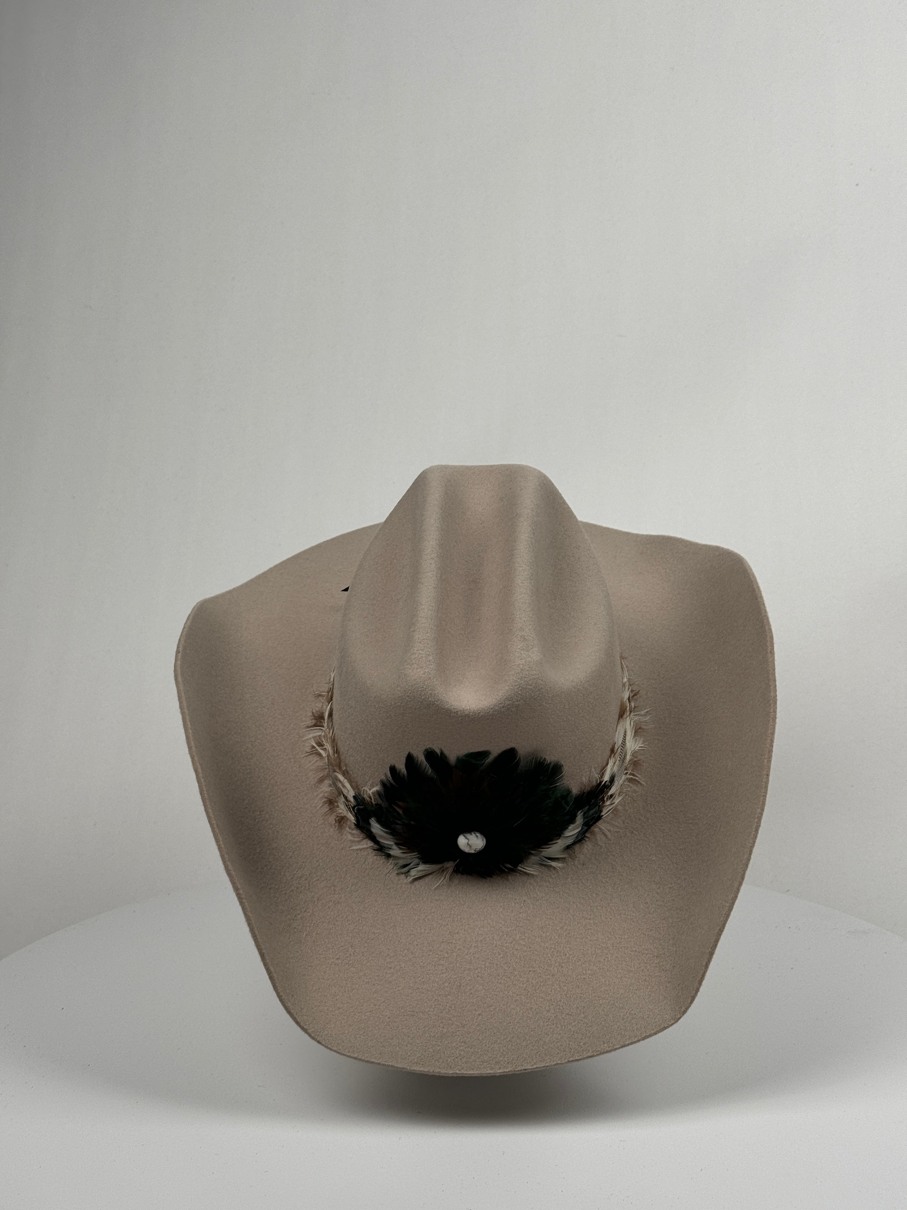 Silverbelly Feather Band Cowboy Hat
