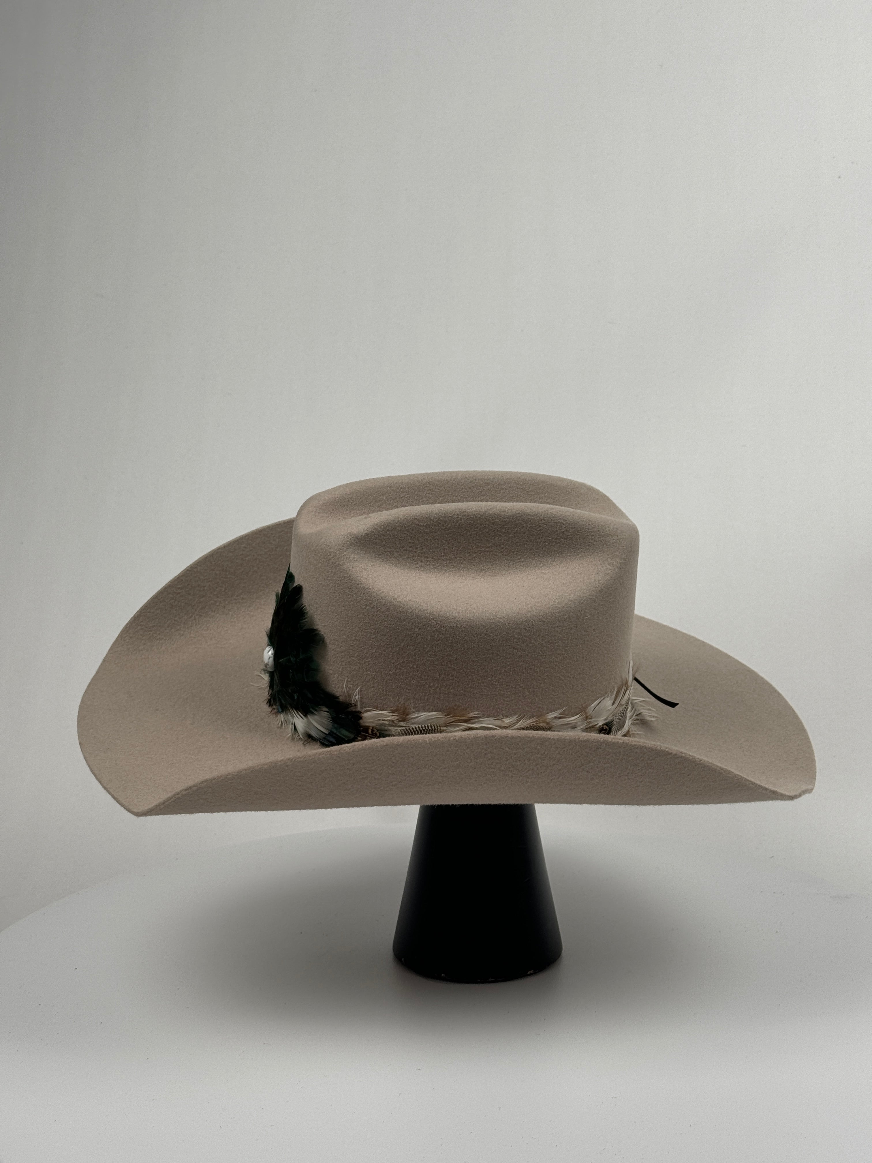 Silverbelly Feather Band Cowboy Hat