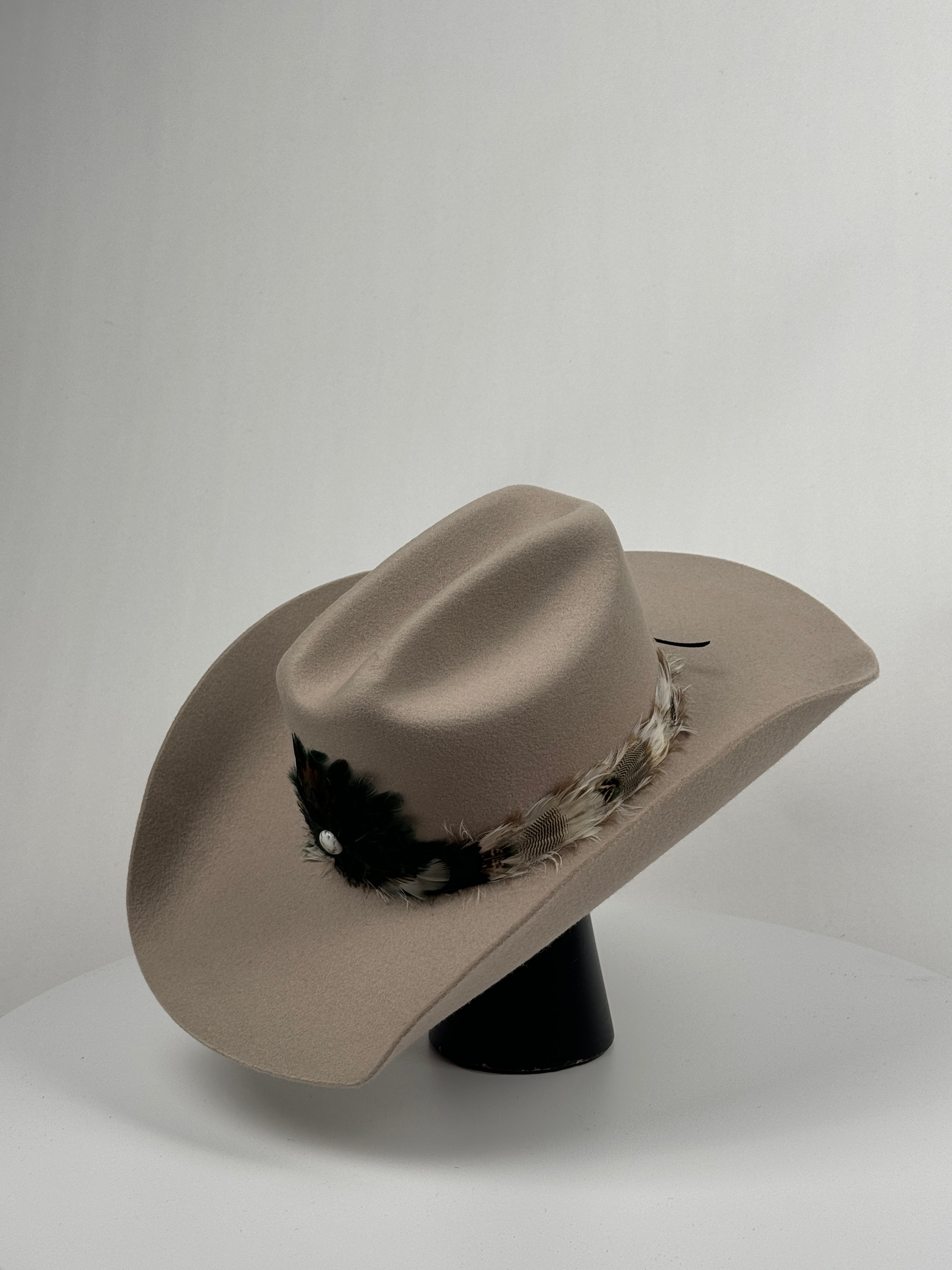 Silverbelly Feather Band Cowboy Hat