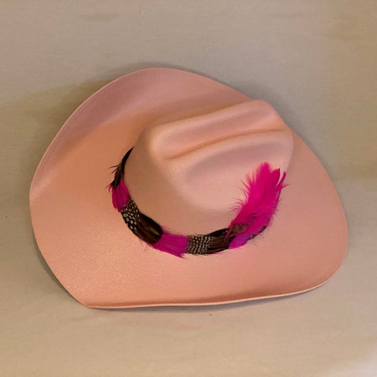 Load image into Gallery viewer, Lydia - Pink Straw Fashion Cowboy Hat With Pink Continuous Feather Trimmed Band-Animo Hat Company
